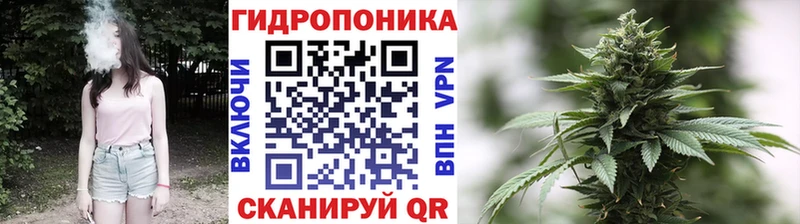 Шишки марихуана тримм  дарнет шоп  omg ССЫЛКА  Уфа 